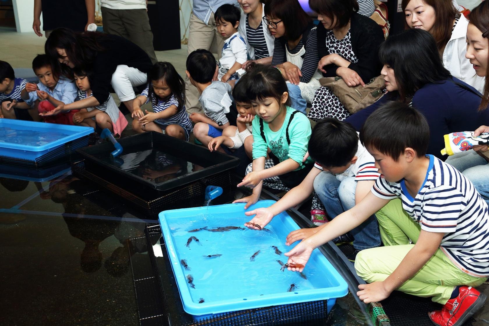🦑 반딧불오징어 박물관(호타루이카 뮤지엄) 이미지 4